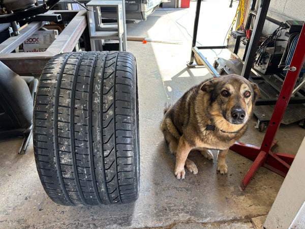 Dog sitting next to a large car tire in a garage setting